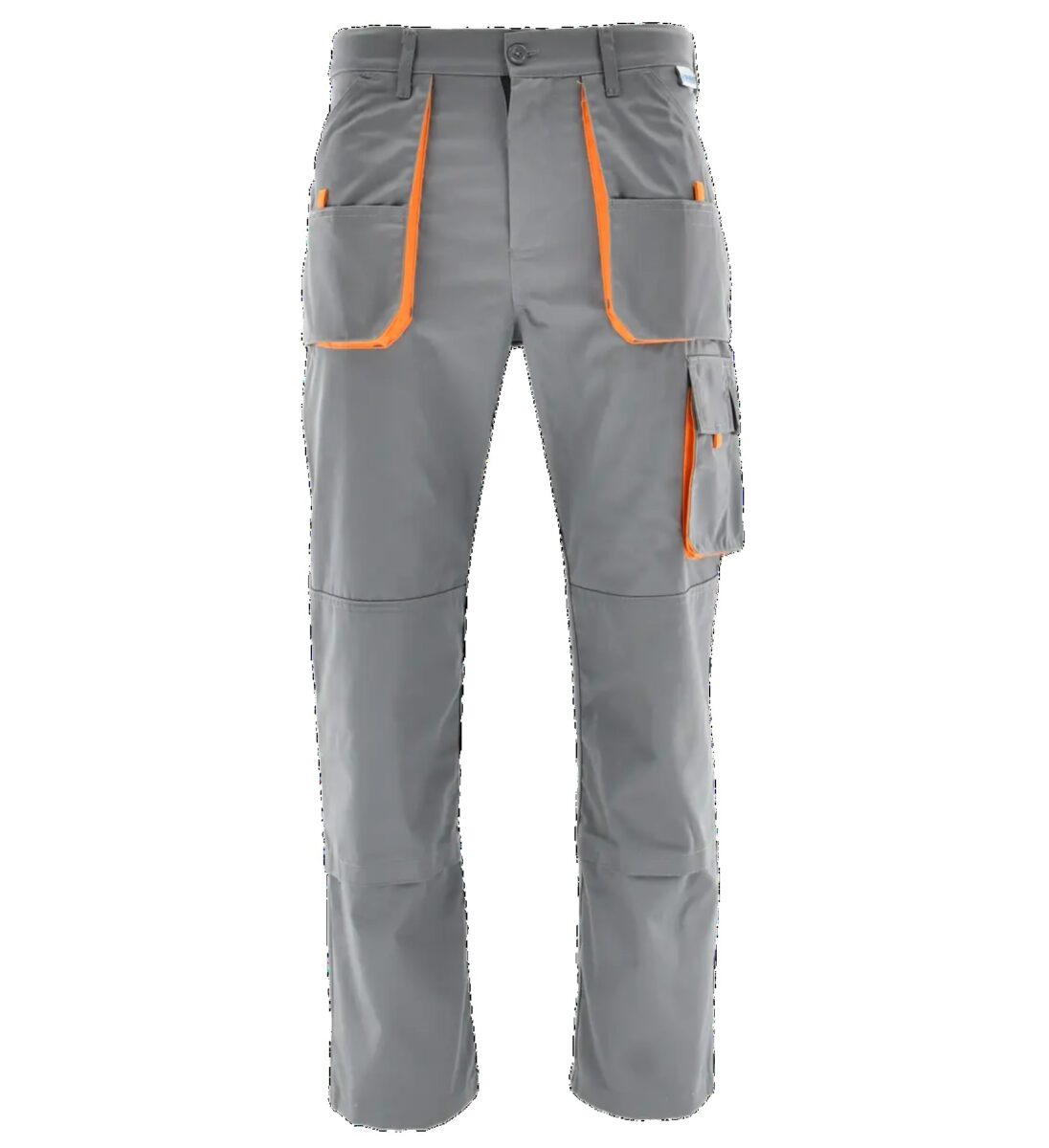 Spodnie do pasa LION